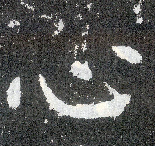 �������ϸ����