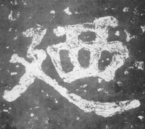 �������ϸ����