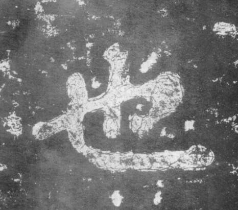 �������ϸ����