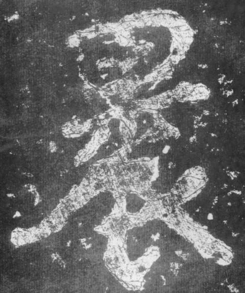 �������ϸ����