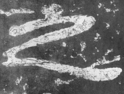 �������ϸ����