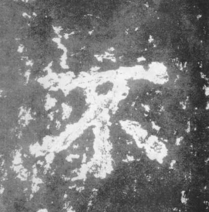 �������ϸ����