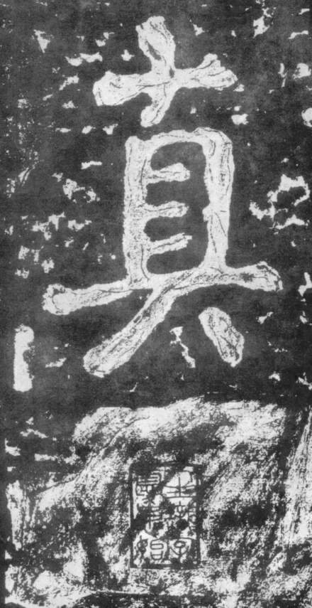 �������ϸ����