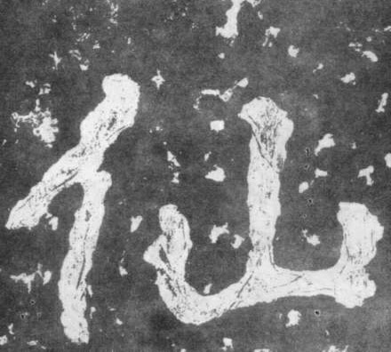 �������ϸ����