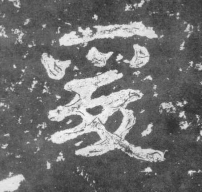 �������ϸ����