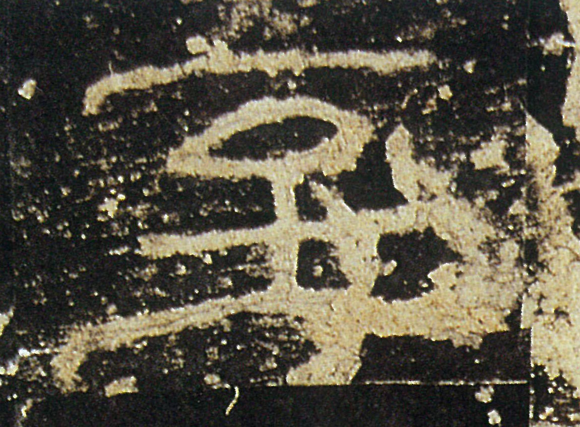 �������ϸ����