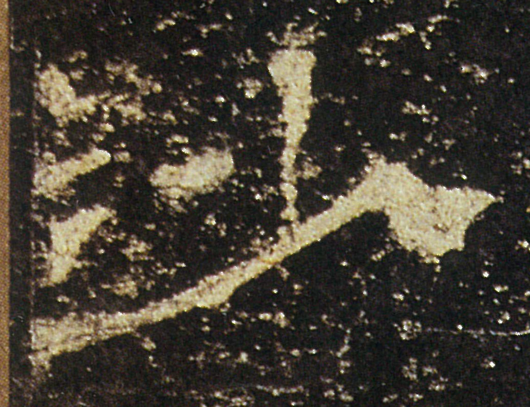 �������ϸ����