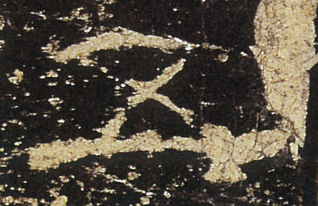 �������ϸ����