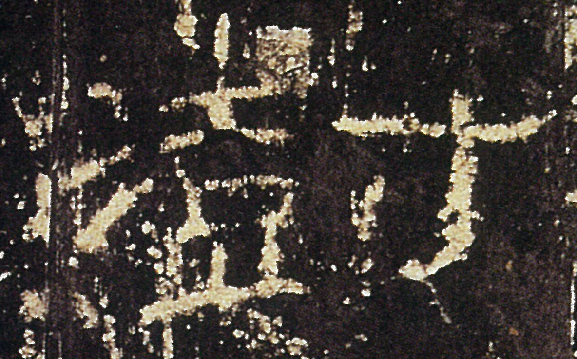 �������ϸ����