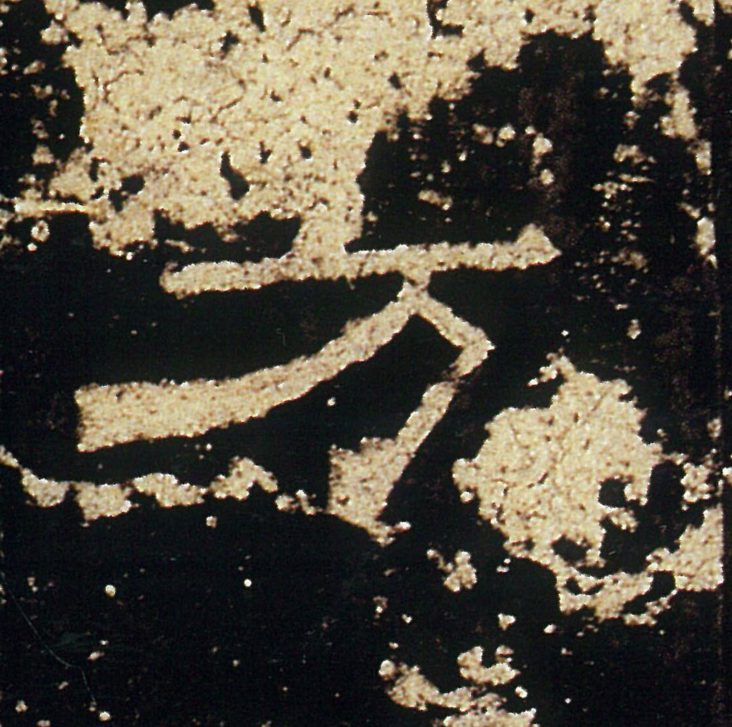 �������ϸ����