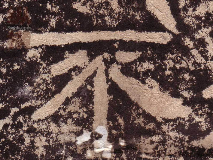 �������ϸ����