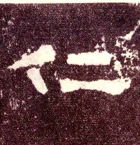 �������ϸ����