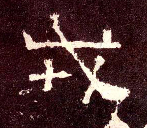 �������ϸ����