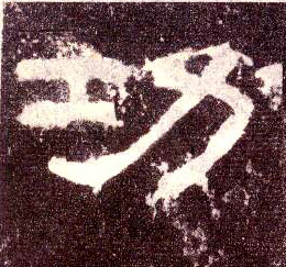 �������ϸ����