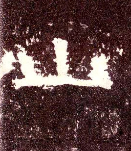 �������ϸ����