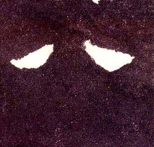 �������ϸ����