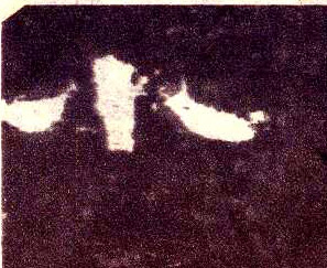 �������ϸ����