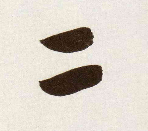 �������ϸ����