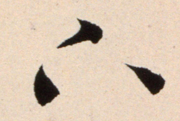 �������ϸ����