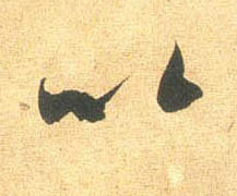 �������ϸ����