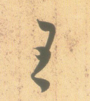 �������ϸ����